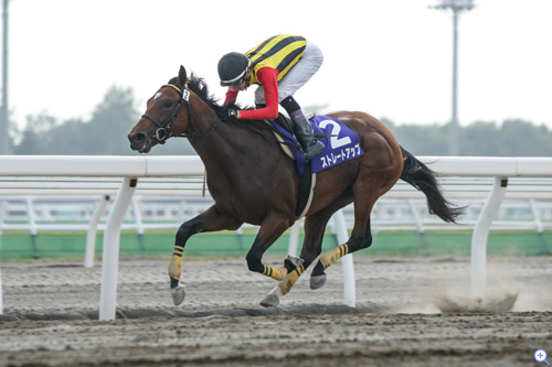 web Furlong 2015【各地の2歳戦特集】第9回 ブリーダーズゴールド