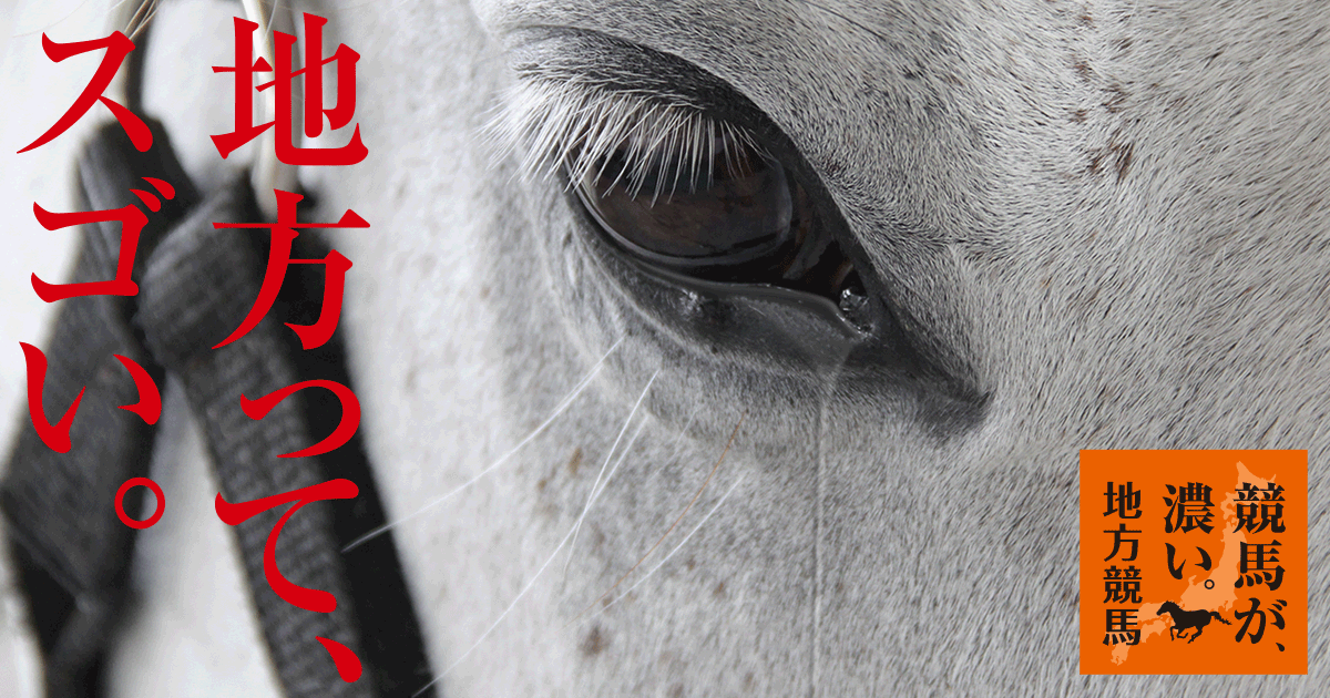 ガイドエッセイ 地方競馬の魅力 競馬場の歩き方 51vcpajbnxL._SL500_.jpg