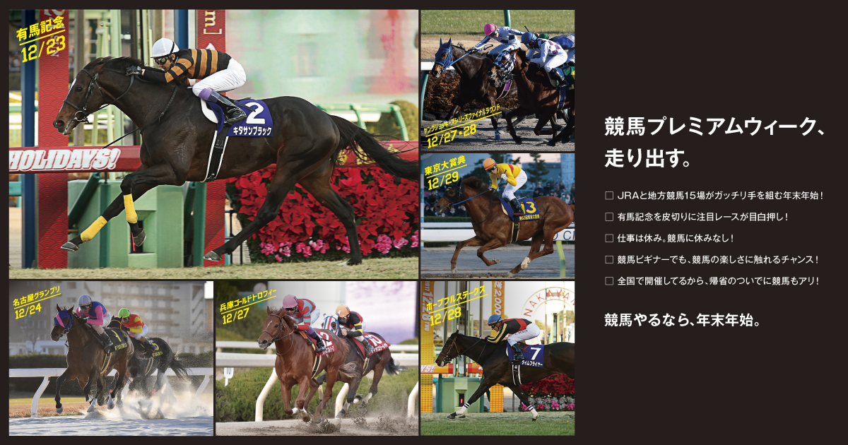 大井競馬場｜地方競馬全15競馬場名鑑｜地方競馬 年末年始特設サイト