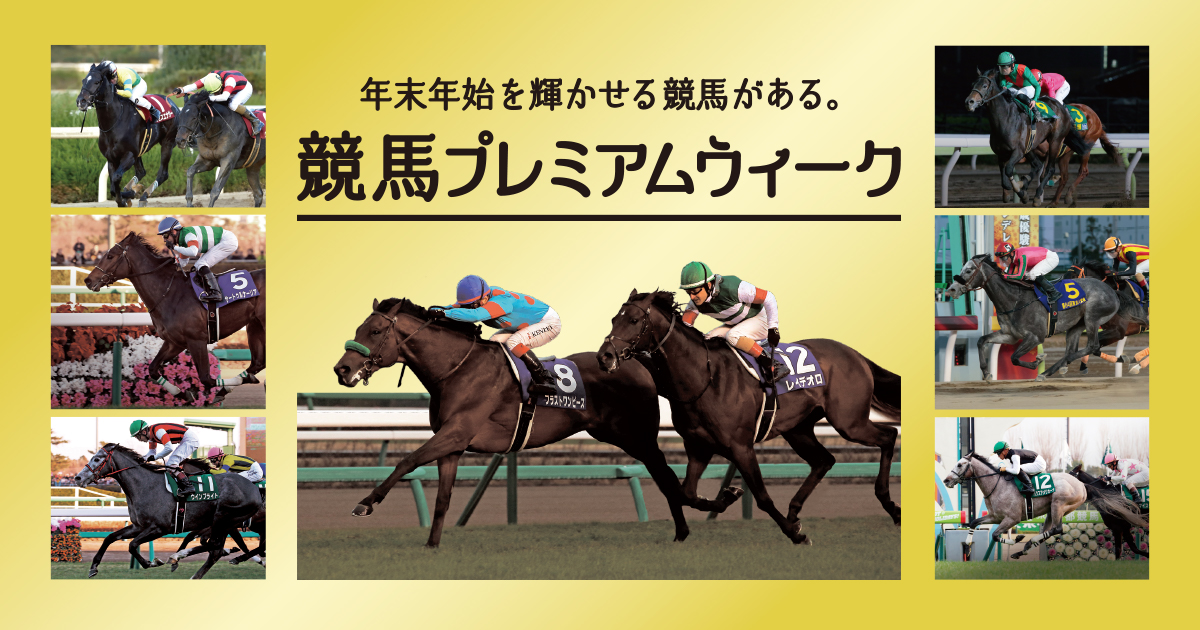 第44回桐花賞 水沢競馬場 | 注目のレース分析 | 地方競馬 年末