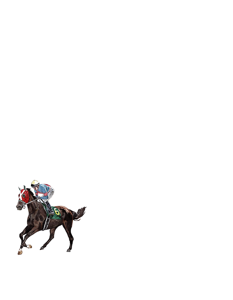 ヤングジョッキーズシリーズ2018YJS JRA 限定ジャケット 2024ヤングジョッキーズシリーズ トライアルラウンド佐賀