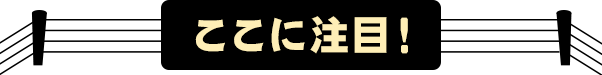 ここに注目