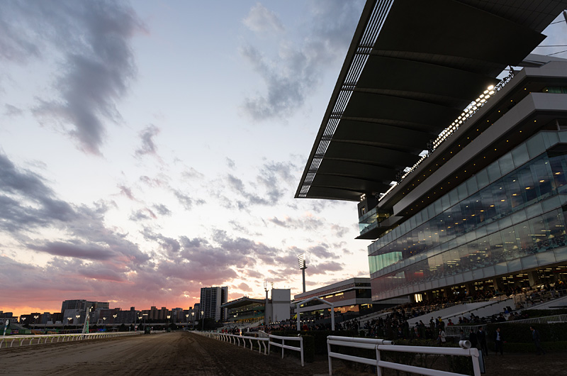 大井競馬場