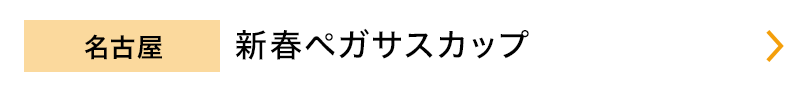 名古屋　新春ペガサスカップ