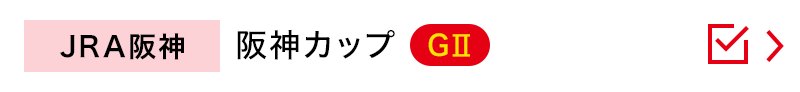 JRA阪神　阪神カップ