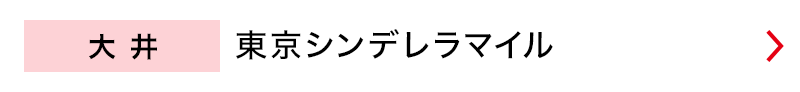 大井　東京シンデレラマイル