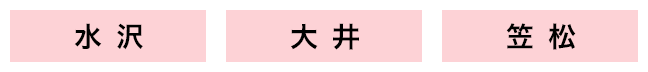 水沢/大井/笠松