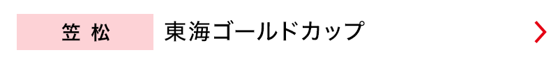 笠松　東海ゴールドカップ