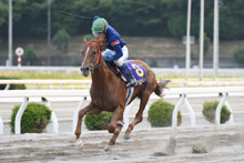 昨年優勝馬：フリビオン