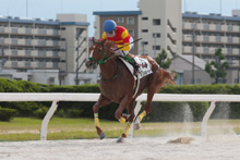 昨年優勝馬：ドリームズライン