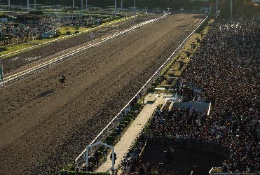 大井競馬場（東京都品川区）