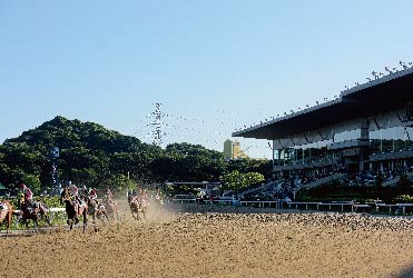 佐賀競馬場（佐賀県鳥栖市）