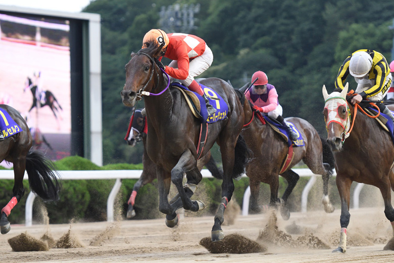 佐賀 競馬 結果