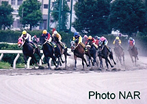 ���[�X�̎ʐ^