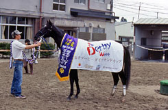06年岩手ダービーダイヤモンドカップ　優勝馬：オウシュウクラウン
