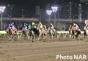 大井競馬場(東京都品川区)