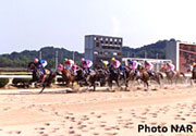佐賀競馬場(佐賀県鳥栖市)