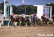 園田競馬場(兵庫県尼崎市)