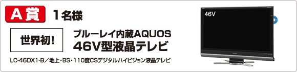 A賞 ブルーレイ内蔵AQUOS 46V型液晶テレビ