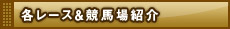 各レース＆競馬場紹介