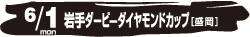 6/1日（月） 岩手ダービーダイヤモンドカップ[盛岡]