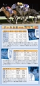 ダービーウイーク2013 オフィシャルガイドブック