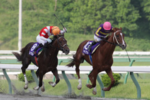 昨年優勝馬：アスペクト 