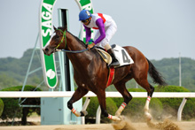 昨年優勝馬：エスワンプリンス 