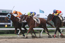 昨年優勝馬：マイネルセグメント 