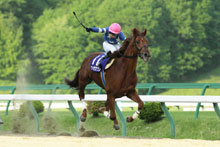 昨年優勝馬：ヴイゼロワン