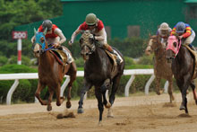 昨年優勝馬： ダイリングローバル