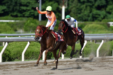 昨年優勝馬：トーコーガイア