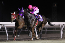 昨年優勝馬：フジノサムライ