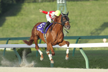 昨年優勝馬：ロールボヌール