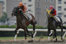 昨年優勝馬：バズーカ