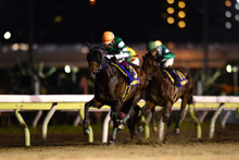 昨年優勝馬：ラッキープリンス