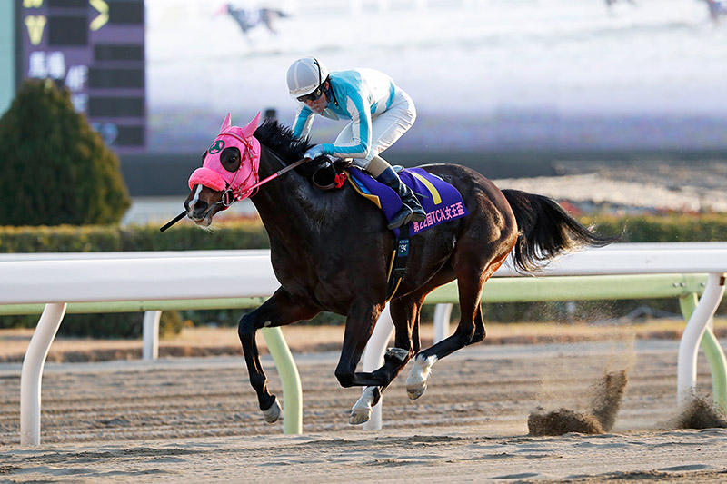 2019年 ビスカリア 混戦の牝馬戦線は波乱の決着