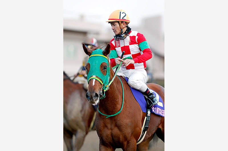 2018年 ミッシングリンク ダート3戦目で重賞初制覇