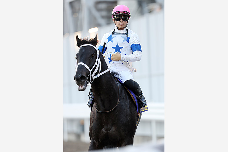 2020年 チュウワウィザード　6馬身差圧勝でJpnⅠ･2勝目