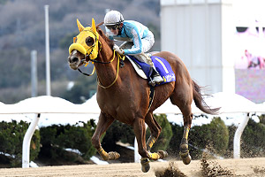 過去5年の競走成績 03