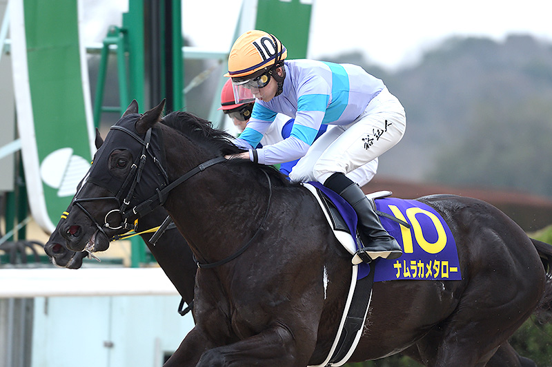 2020年 ナムラカメタロー 3連勝で初重賞タイトル獲得
