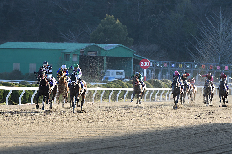 2019年 ヒラボクラターシュ　追い比べを制して重賞初制覇