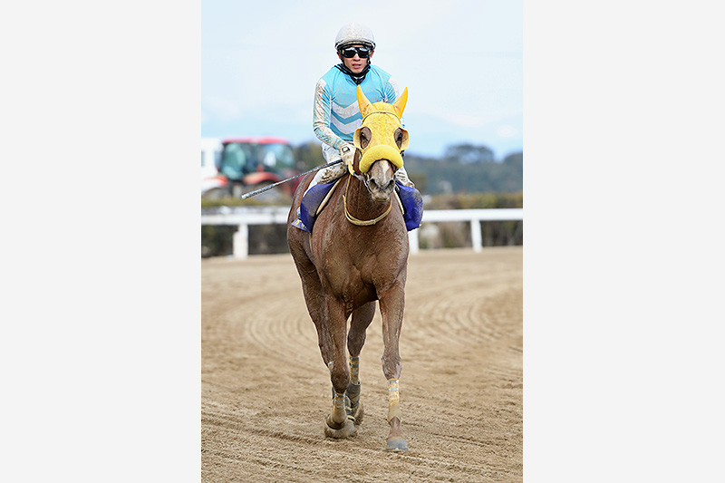 2018年 ルールソヴァール　直線抜け出し4馬身差で重賞初制覇