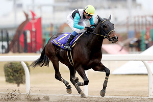 過去5年の競走成績 02