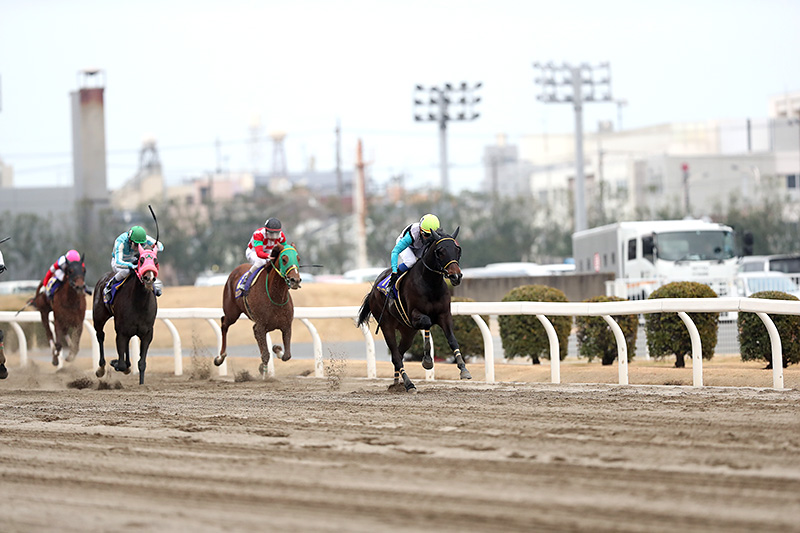 2019年 プリンシアコメータ 苦心の調整で重賞3勝目