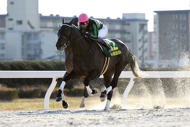 2019年 グリム　人気集めた4歳馬のワンツー