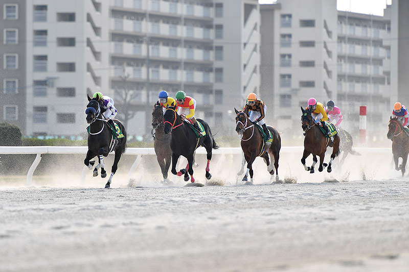 2018年 サンライズソア　幼さ残る4歳馬が重賞初制覇