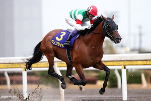 過去5年の競走成績 05