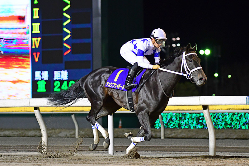 2019年 チュウワウィザード　直線独走でJpnⅡ2勝目