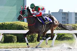 過去5年の競走成績 01